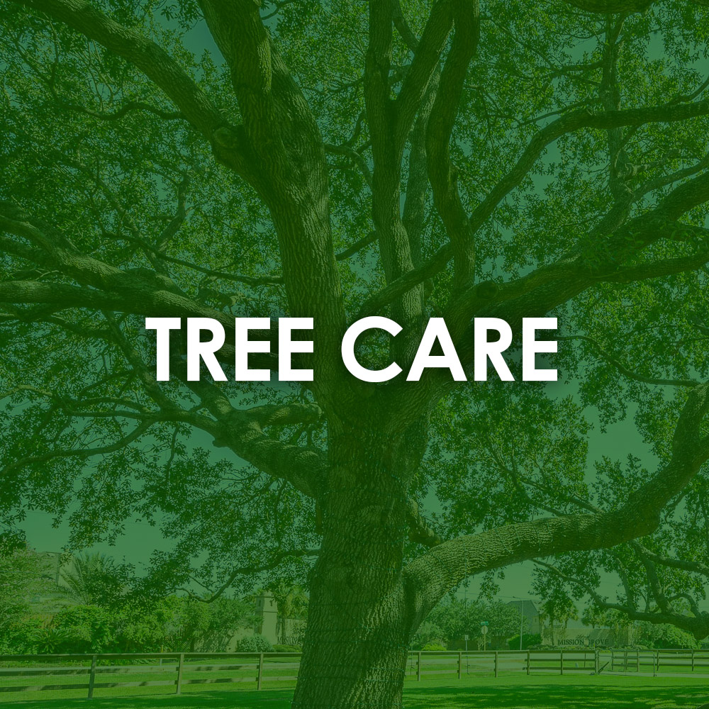 Commercial Tree Care